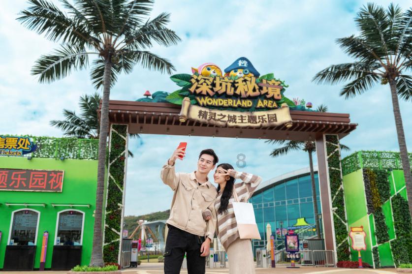 高级定制