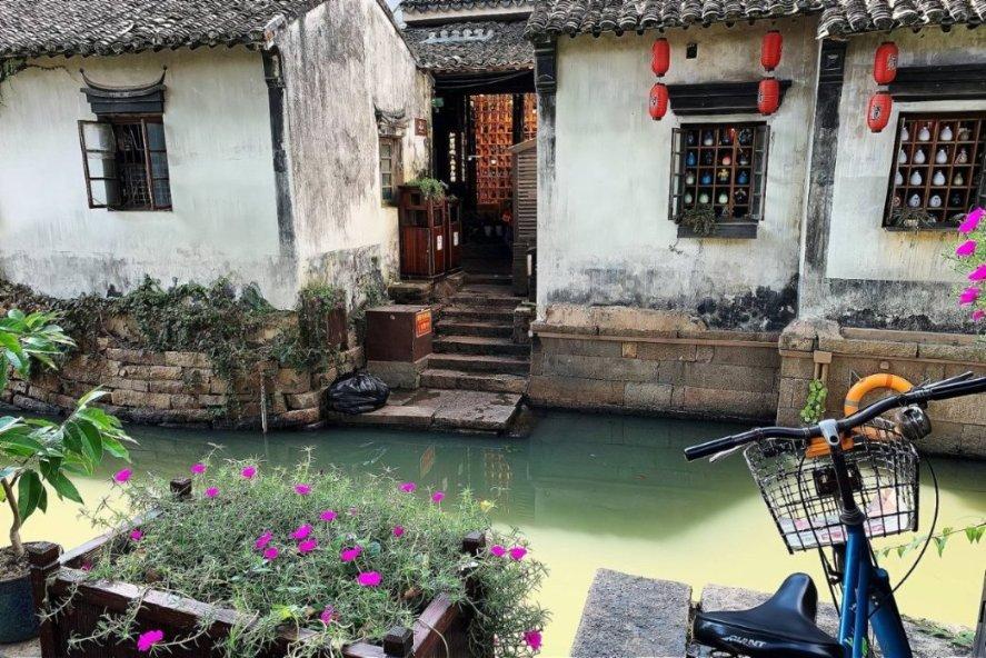 僵尸顶顶乐